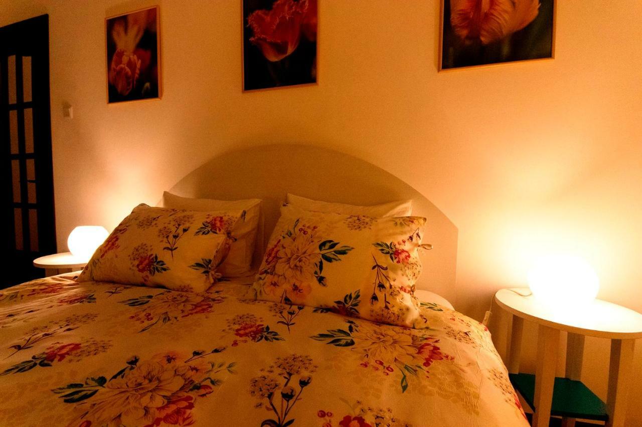 Ava'S Home Брашов Екстер'єр фото